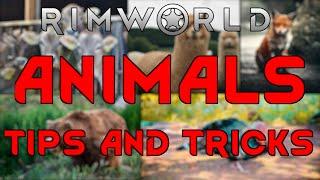 ANIMALS TIPS & TRICKS 1.3 - Rimworld Tutorial Gameplay Guide