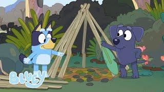 Acampar con Bluey ️ | Bluey Español Canal Oficial