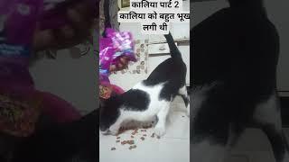 June 3, 2025https://youtube.com/shorts/yUrWi0dnec8?si=yBnqOMfF5G41Kuo mera kalya dosth