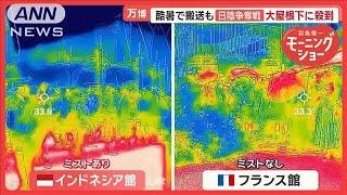 大阪・関西万博会場「フィリピンより暑い」酷暑で搬送も…日陰争奪戦　大屋根下に殺到【羽鳥慎一モーニングショー】(2025年6月19日)