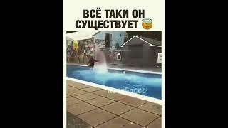 #shorts #interesting #funnyvideos #видео #интересное #приколы(2)