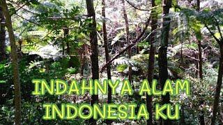 Anugrah alam Indonesia - Keindahan Alam Kuningan Jawa Barat