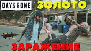 Days Gone(Жизнь После) - Я взял ЗОЛОТО! Испытание Заражение!