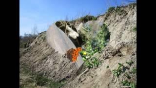 Lente 2017 Eco-touristfarm De Biezen Aarle-Rixtel