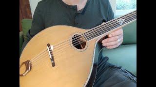 The Ziri Cittern, By Nyberg Instruments