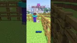 The Best Chicken Coop in All of Minecraft!  ️ #shorts