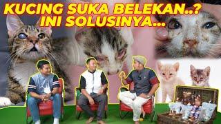 JANGAN SAMPAI KUCING-KUCING KITA SEPERTI INI..!!