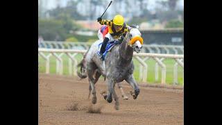 Clásico Ricardo Ortíz de Zevallos (Per-G1) - Padre Roberto (Hurricane Cat)