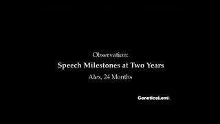 Observation: Speech Milestones at 2 years