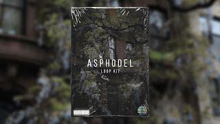 [FREE] Piano Loop Kit/Sample Pack 2024 - "Asphodel"