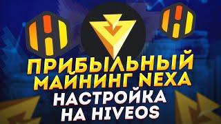 Прибыльный майнинг NEXA. Полная настройка на Hive OS. Некса майнинг на видеокартах. Майнинг в 2023