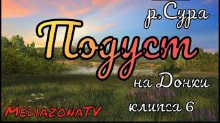 Русская Рыбалка 4 Где Клюет ?  р.Сура Подуст 17.10