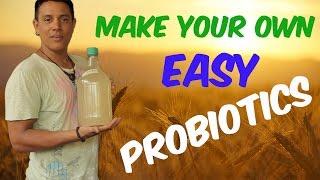 How to make your own easy (no whey) probiotics LACTO (tutorial) - VLOG #008