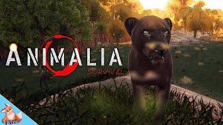 Lost Little Black Lioness adventures in Animalia Survival