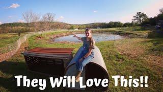 The Ultimate Pig Paradise! | Preparing For Our New Additions To The Farm!