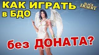 Black Desert (MMORPG) - Как играть без доната в БДО?