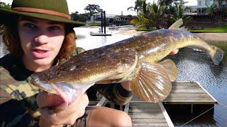 Fishing For RIVER MONSTERS Overnight Jetty Challenge! (Shark/Flathead/Trevally)