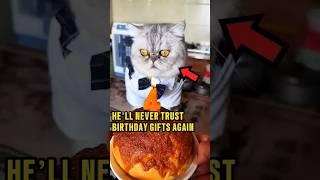 Cat Picked the Wrong Birthday Wish ️