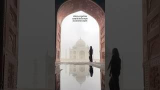 The Best Taj Mahal Photo Spot? A Local Reveals the Secret!  #shorts #travel #fyp