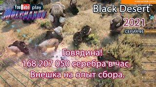 Говядина. Внешка на сбор. Black Desert Фарм серебра 2021. Лучница.