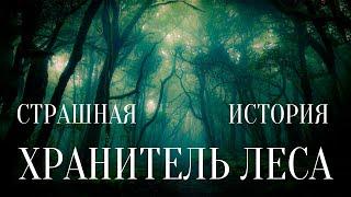 СТРАШНЫЕ ИСТОРИИ НА НОЧЬ / СТРАШНЫЕ ИСТОРИИ ПРО ЛЕС / СТРАШНЫЕ ИСТОРИИ ПРО ТАЙГУ / ТАЙГА