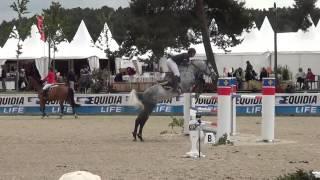digisport cavalier fontainebleau