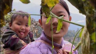 At Norbuling village #Arunachal pradesh| Tsangla#Tibetan vlogger