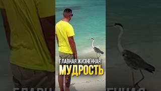 ГЛАВНАЯ ЖИЗНЕННАЯ МУДРОСТЬ #советы