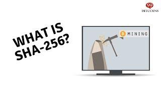 What is a Bitcoin hash and SHA-256