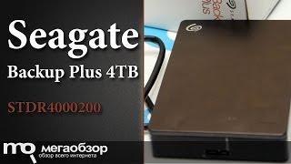 Обзор внешнего диска Seagate Backup Plus 4TB