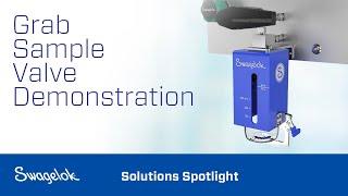 Swagelok® Grab Sampling Valve | Swagelok Services | Swagelok [2022]