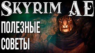 SKYRIM • ПОЛЕЗНЫЕ СОВЕТЫ • ФИШКИ • СЕКРЕТЫ • БАГИ