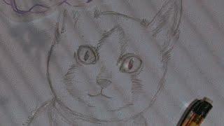 How to draw realistic cat| Unique Shiro #howtodraw