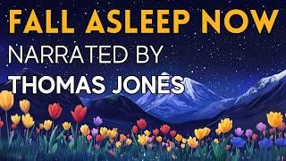 A Very COZY Story  A Sleepy Journey to Welsh South America - FALL ASLEEP FAST