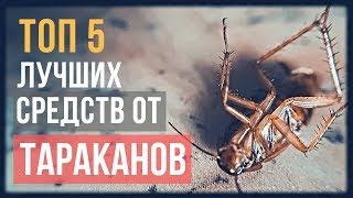 ТОП 5 лучших средств от тараканов: итоги испытаний в 2018 году