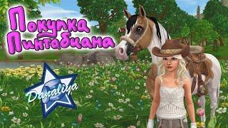 Покупка Пинтабиана с Ярмарки |Star Stable Online|