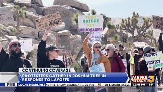 Several hundreds protest at Joshua Tree National Park in response to staffing cuts