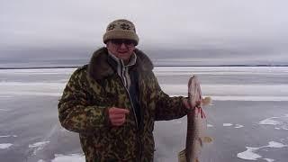 У острова Земляничный, Иваньковское вдхр. 09.02.20г