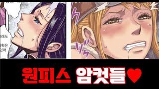 [히토미 작품 추천 11탄] 원피스 나미와 로빈이 암캐가 되는 이야기️