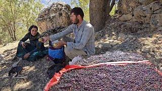 Good Moments in an Interesting Trip: Atabek and Shaheen Adventure in The Forest