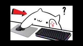 How To Use Bongo Cat Cam In OBS