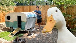 Building a Camper for Ducks!