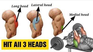 9 Best Triceps Workout for Every Head (Hit all 3 heads) | Fitkill