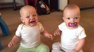 Twin baby girls fight over pacifier