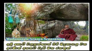 Madunagala Aranya Senasanay