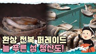 [섬마을 할매 시즌1]  청산도 1편 l 환상 전복 퍼레이드! 눈으로 즐기고 맛으로 즐기는 늘 푸른 섬 청산도!