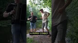 А МУРКУ СЛАБО?