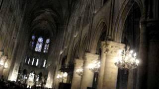 Sheenu's trip to Paris - Notra Dame cathedral 2 of 2