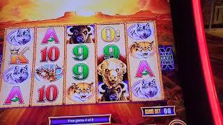 Bonuses  @ Mad Eye Slots