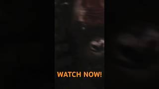 Godzilla VS Scar King